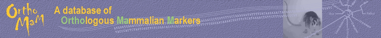 Orthologous Mammalian Markers A database of Orthologous Mammalian Markers